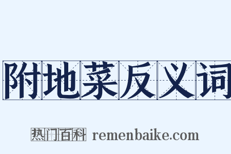 附地菜反义词是什么意思的图片